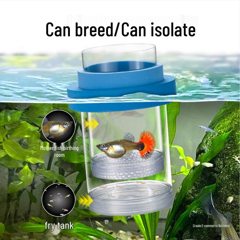 Guppy Breeding Box: Fish Isolation & Hatching Tank for Small Fish Fry & Mother Fish