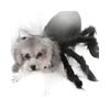 Pet Spider Costume: Scary Plush Transformation Outfit for Small Dogs and Cats