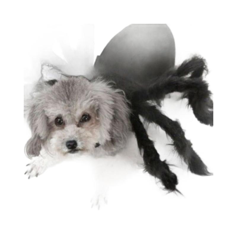 Pet Spider Costume: Scary Plush Transformation Outfit for Small Dogs and Cats