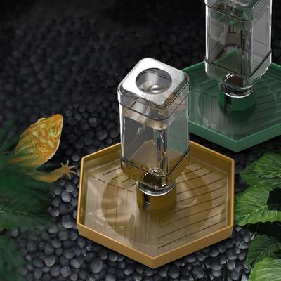 Répteis – Terrários de répteis