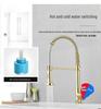 Stainless Steel Pull-Out Kitchen Faucet with Hot & Cold Extension for Vegetable Washing