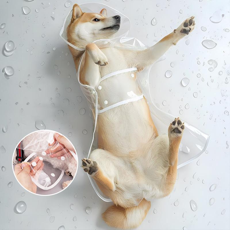 XS/8XL Pet Raincoat Transparent Dog Raincoat Waterproof and Windproof Pet Clothing Large Dog Pet Dog Dog Costume