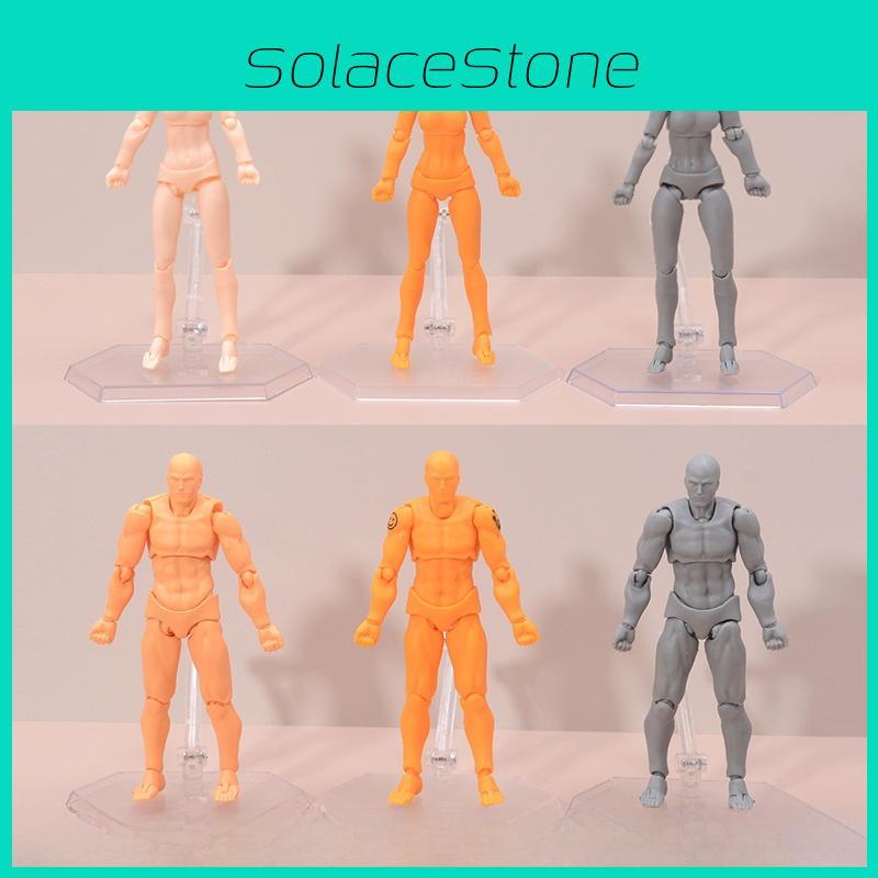 Action Figma Figure Male Female Pvc Model For Drawing And Display Enthusiasts