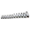 Square Wrench Hex Bit Socket Set 14in 38in 12in Auto Maintenance Repair with Tool Box