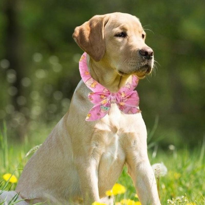 Pet Cooling Scarf Ice Collar for Cats Dogs Summer Heat Relief Outdoor Travel Accessory with Breathable Cartoon Design