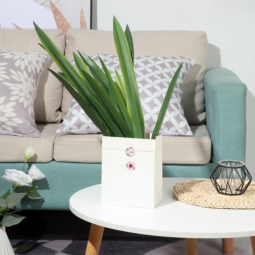 Fashion Artificial Decorations High Grade Silicon Feel Garden Artificial Orchid Leaf Simulation