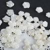 50 STUKS Rozenkraal Sieraden DIY Elegant Retro 3D Roos Camelia Bloemenkraal Imitatie Parel Ketting Bralet Haarclip Decoratie ZYF