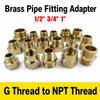 Adaptateur de Raccord de Tuyau en Laiton Filetage Mâle NPT Adaptateur G NPT Convertisseur d'Adaptateur de Filetage