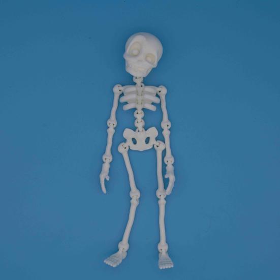 Poseable Skeleton Fridge Magnet 3D Printed Articulated Full Body Skeleton with Movable Joints Halloween Mini Skull Fridge Magnets for Home Decor
