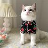 Spring Cat Costume Cute Cozy Pet Clothes for Cats Katten Kedi Hoodie Mascotas Gato Sweatshirt Cat Sweater Pets Clothing Outfit