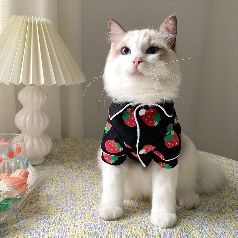 Spring Cat Costume Cute Cozy Pet Clothes for Cats Katten Kedi Hoodie Mascotas Gato Sweatshirt Cat Sweater Pets Clothing Outfit