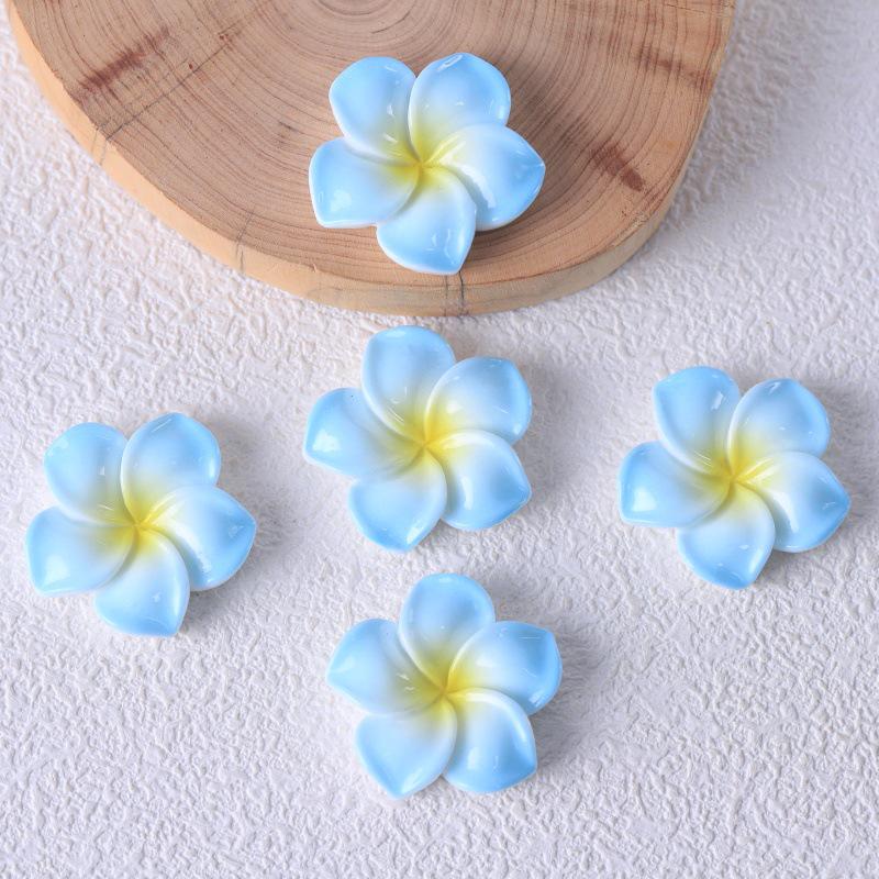 Frangipani Harzblume DIY Schmuck: Schlüsselanhänger, Anhänger, Haarspangen und Aufnäher