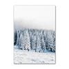 Inverno Neve Foresta Treno Cervo Scoiattolo Pigna Wall Art Canvas Painting Poster e stampe Immagini a parete per soggiorno Decor