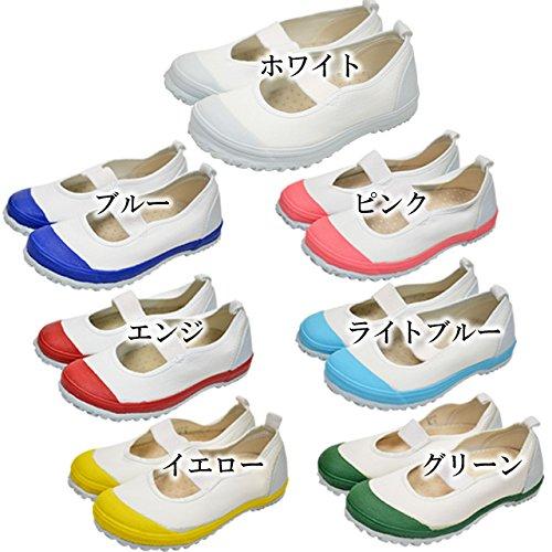 Shinnihon Education Shoes, Educational Volleyball DX Indoor Shoes, AA-KYIKBLDX, White, Size 23.5cm