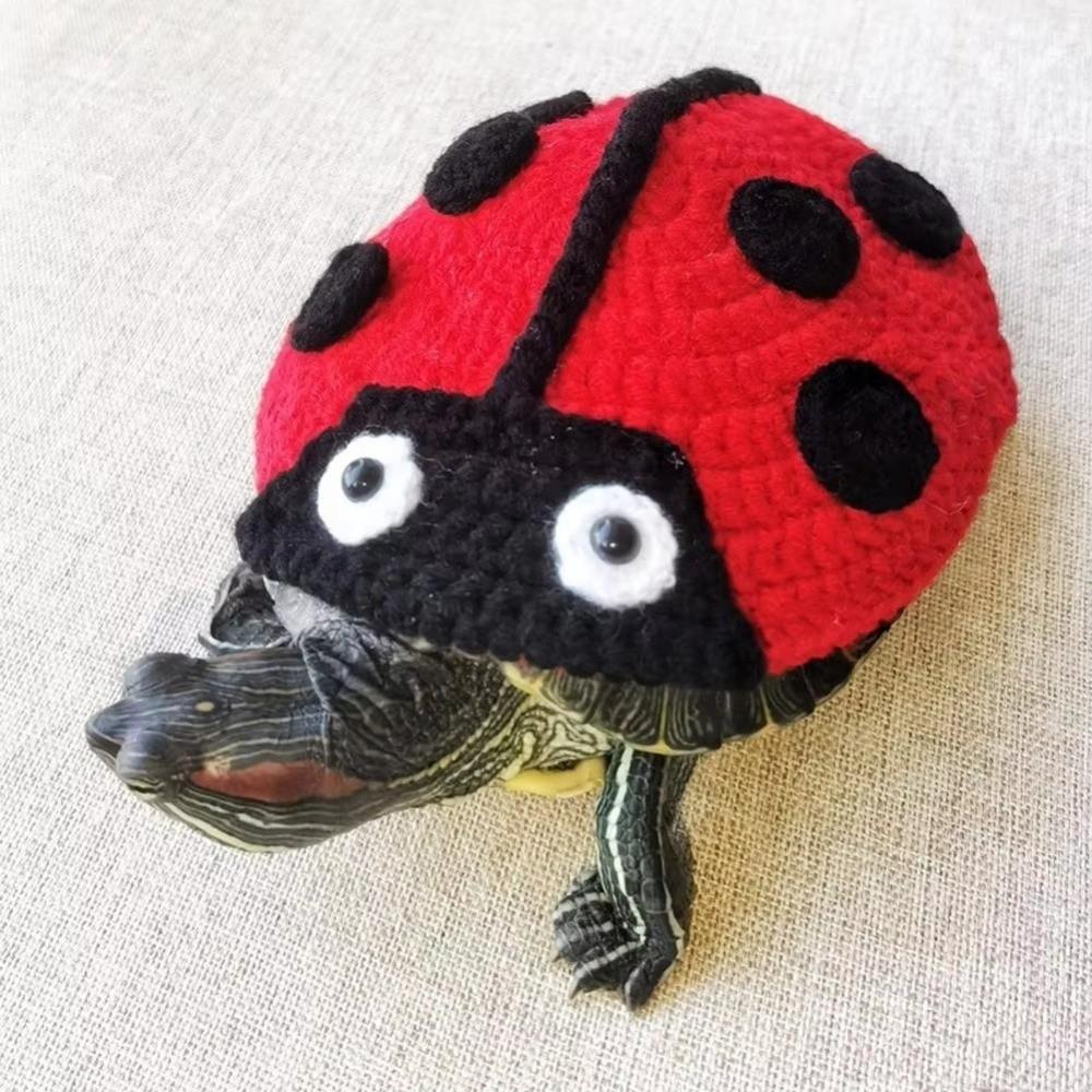 Cartoon Pet Tortoise Clothes Knitted Turtle Costume Funny Small Animal Apparel  Pet Costume