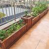 Hualongdun Anti-Corrosion Wooden Planter Box