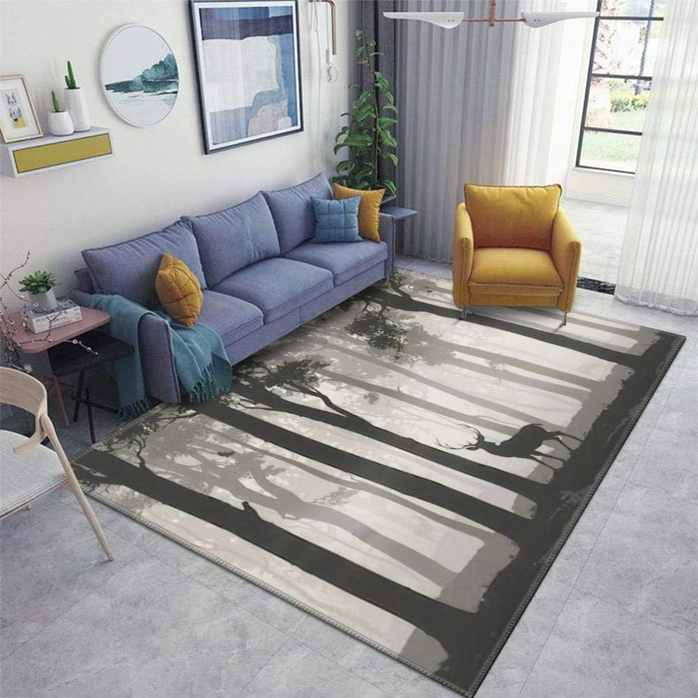 Home Area Runner Rug Pad Forest, Nature, Landscape Evergreen coniferous Trees Pine, Spruce,Thickened Non Slip Mats Doormat Entry
