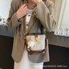 New Bag Women's Bucket Bag Spring and Summer Niche Design Messenger Bag High-end Sense Work Small Bag