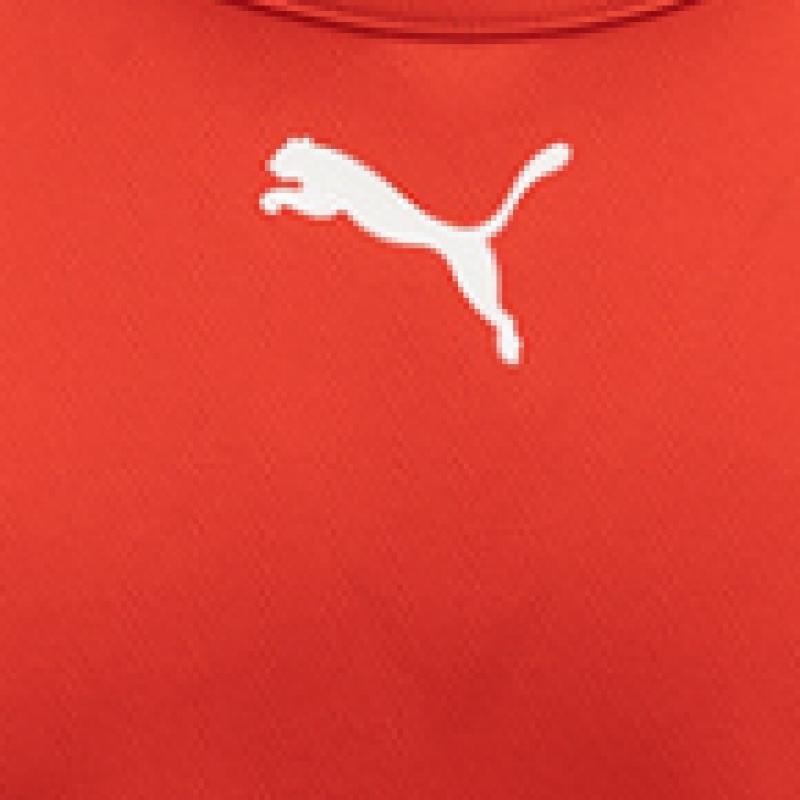 Puma Galleria Puma Team Rise Round Short Sleeve Jersey Asia Sp 70514101