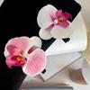 Set of 2 French Floral Hair Grip Pink Orchids Flower Hairpin Stylish Hair Grips for Girl Sweet Side Barrettes Jewelry