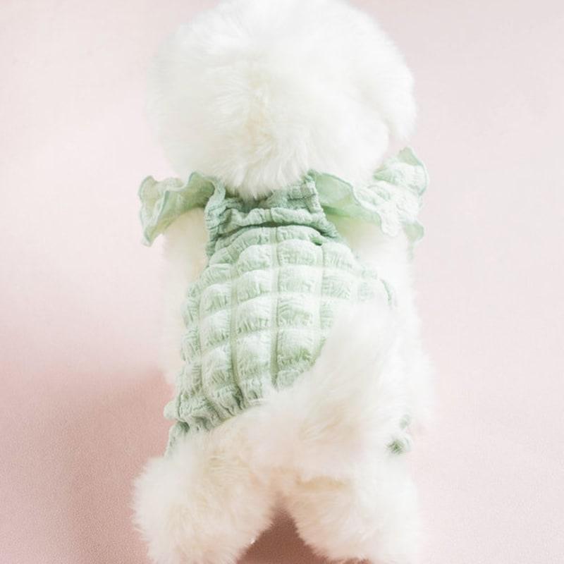 [Haustier] Kürbis Einteiler L