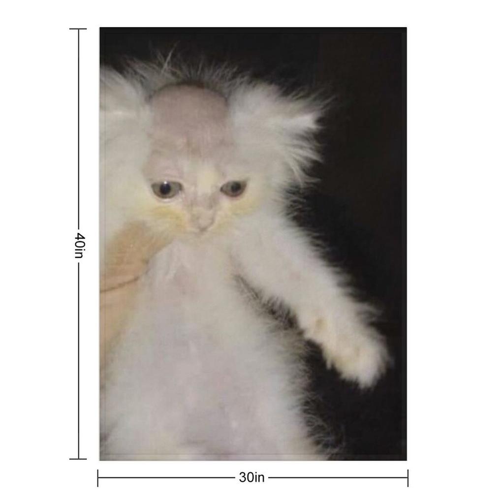 bald cat meme Throw Blanket for babies Large Shaggy Blankets Sofas Of Decoration Blankets