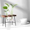 Wooden Frame Hydroponic Planter with Glass Bulb Transparent Container Flower Arrangement Desktop Decoration Home Office