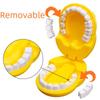 New Interactive Dental Model Toy - Small Doctor Playhouse Accessory