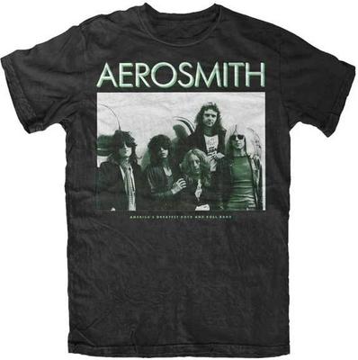 Aerosmith America's Greatest RnR Band Music Rock and Roll Mens T Shirt AH125