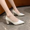 Spring Autumn Large Size High Heels Pointed Toe Thick Heel Fashion Work Shoes Elegant Personality Single Low Heel Shoes