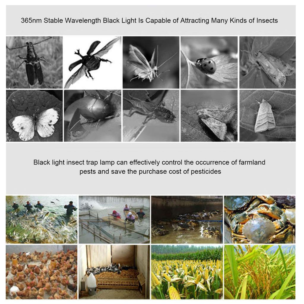 A C110V 20W Insects Trap Catcher Light Bulbs Spiral Shaped E27 Base Socket Holder 365NM Wavelength