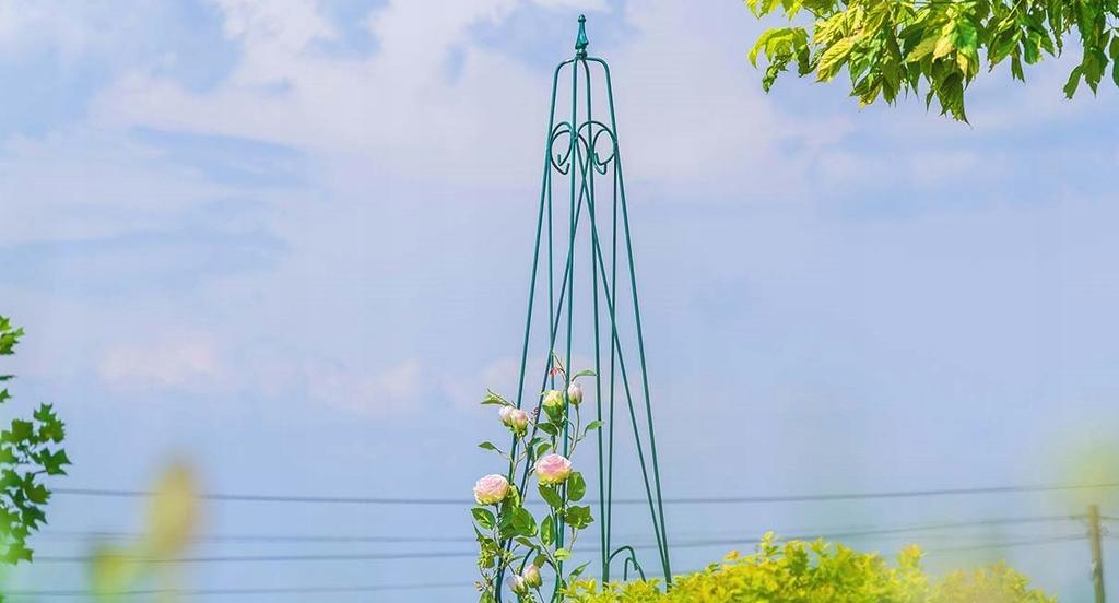 KADAX Garden Pergola Pyramid For Flowers Roses Climbing Plants
