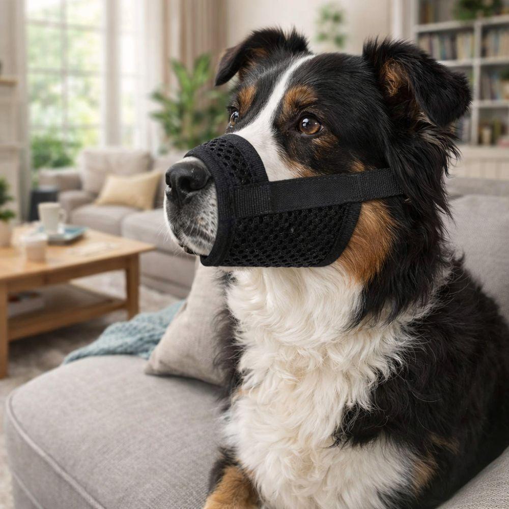 Practical Anti Bite Dog Mesh Muzzle Prevent Barking Soft Dog Mouth Guard Adjustable Breathable Puppy Grooming Sessions