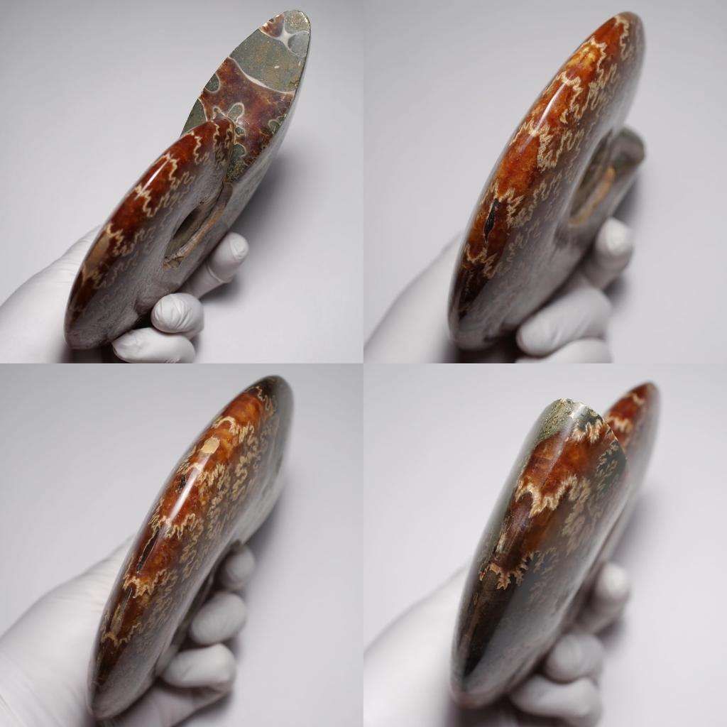 Stein Natürliches Fossil Ammonit ca. [N2 Natürlich] (Nahtmuster-Ammonit) / Naht-Präparat (11 „Einzigartig“ 746g, 157x132x33mm)