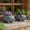 Decorațiuni pentru casă – Ghivece de flori decorative