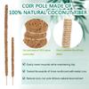 Plant Support Flexible Plant Stake Living Room Plant Stand Plant Climbing Support Suitable for Indoor Plant Growth