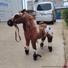 Children's Wooden Bouncing Horse Ride