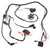 Cablaggio di Avviamento Accensione ATV Fuoristrada Big Bull 125-150cc Dinosaur GY6