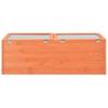 Early Planting Box Wooden 100 X 50 X 34 Cm