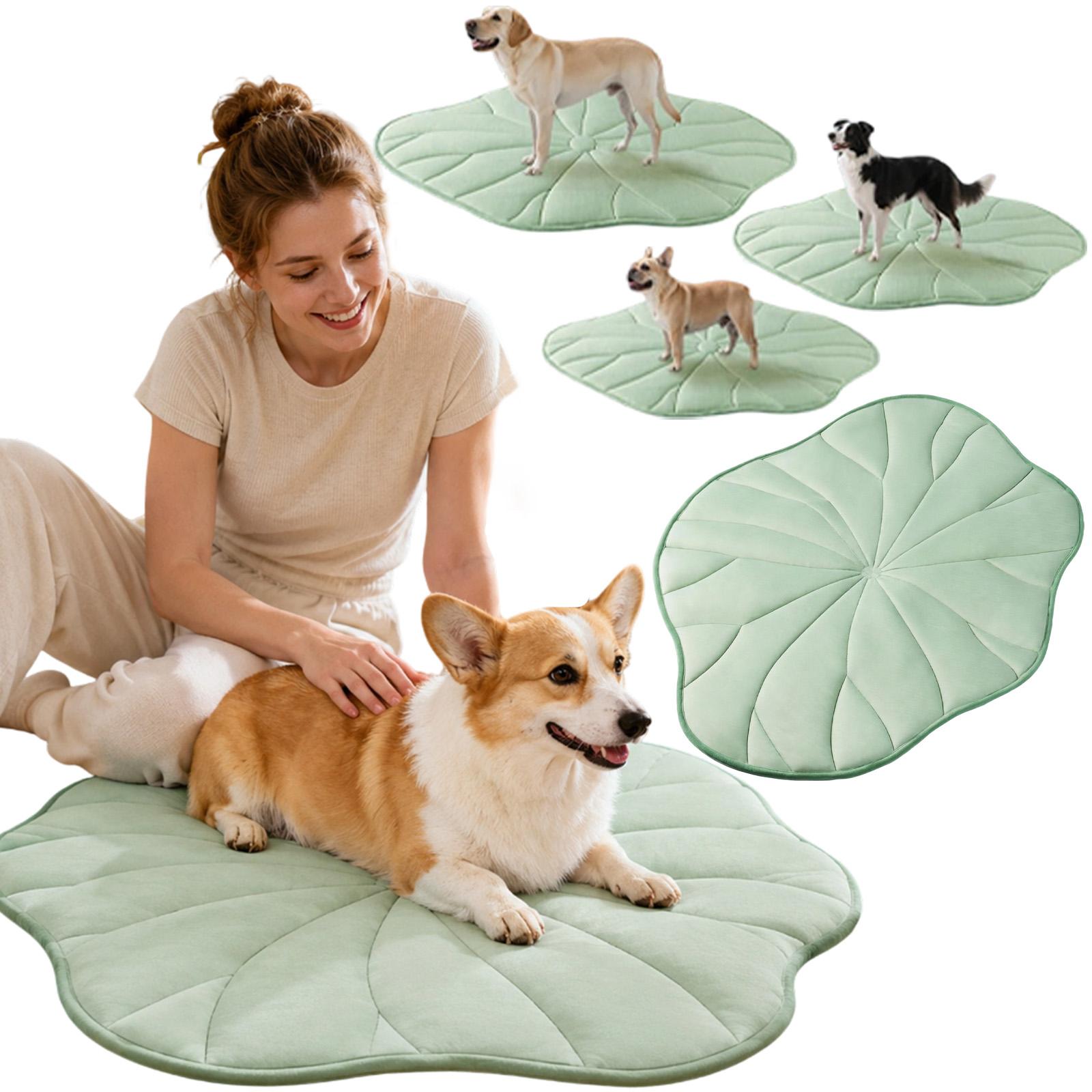 Pet Pad  (M / L / XL  ) Утолщенная собака для лета One Size