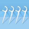 FAWNMUM Ultra-Fine Dental Floss Picks, Family Pack (600 Count)