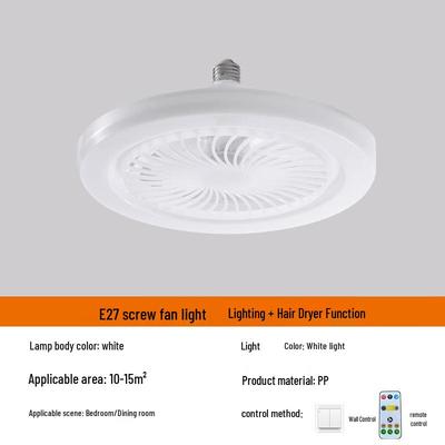 Oeny Small Ceiling Fan Lamp with Remote