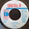 7inch Record LIEUTENANT STITCHIE  Promises NONE DigitalB 1997 Jamaica Reggae Ska  Dub Used
