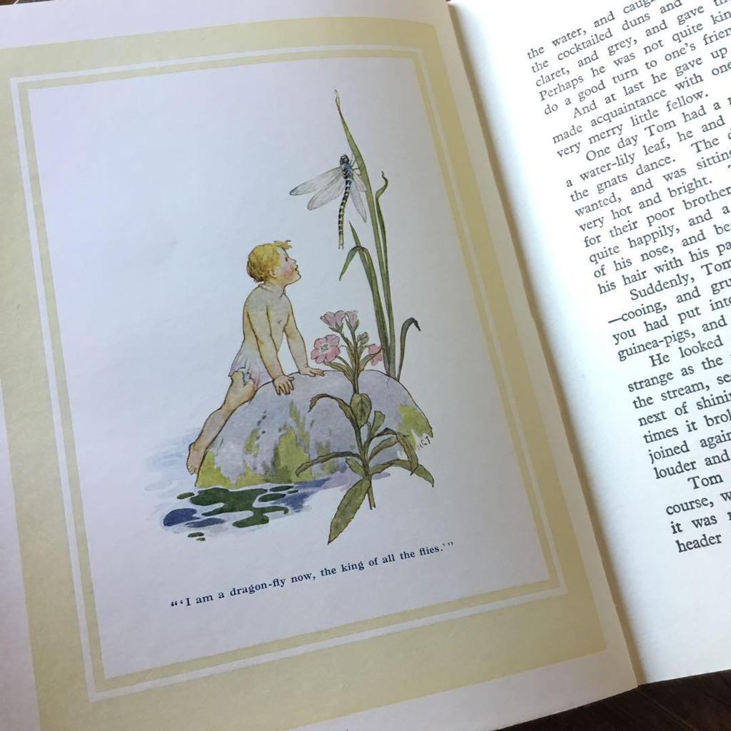 [USED] Western books, old picture books, THE WATER-BABIES, children's books