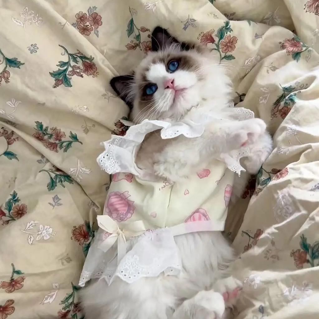 Pet Lace Camisole Printed Vest Cute Dress Teddy Home Clothes Cat Toddler Camisole Skirt Puppy Clothes Cooling Vest for Dog