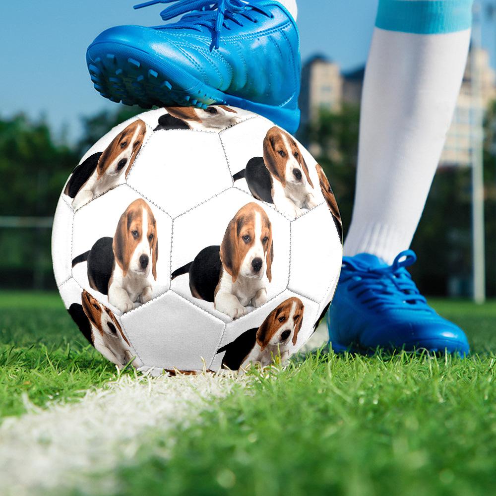 Cute Puppy Indoor Size 5 Soccer Ball Colorful Machine Stitched PVC Competition Ready Durable High-Bounce