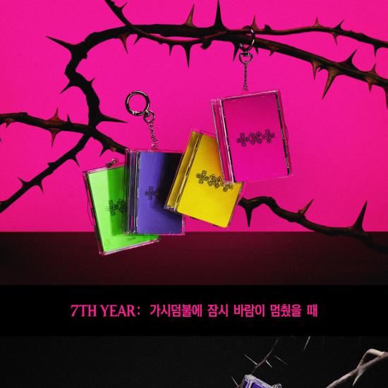 TXT Tomorrow X Together שנה 7 מארז כרטיסי פוטו The Wind Stopped Briefly in the Thorn Bush גרסה. אלבום Makestar / YES24 / הטבת Weverse