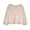 Imitation raccoon hair woven imitation fur jacket women's short new imitation fox hair coat light fashion