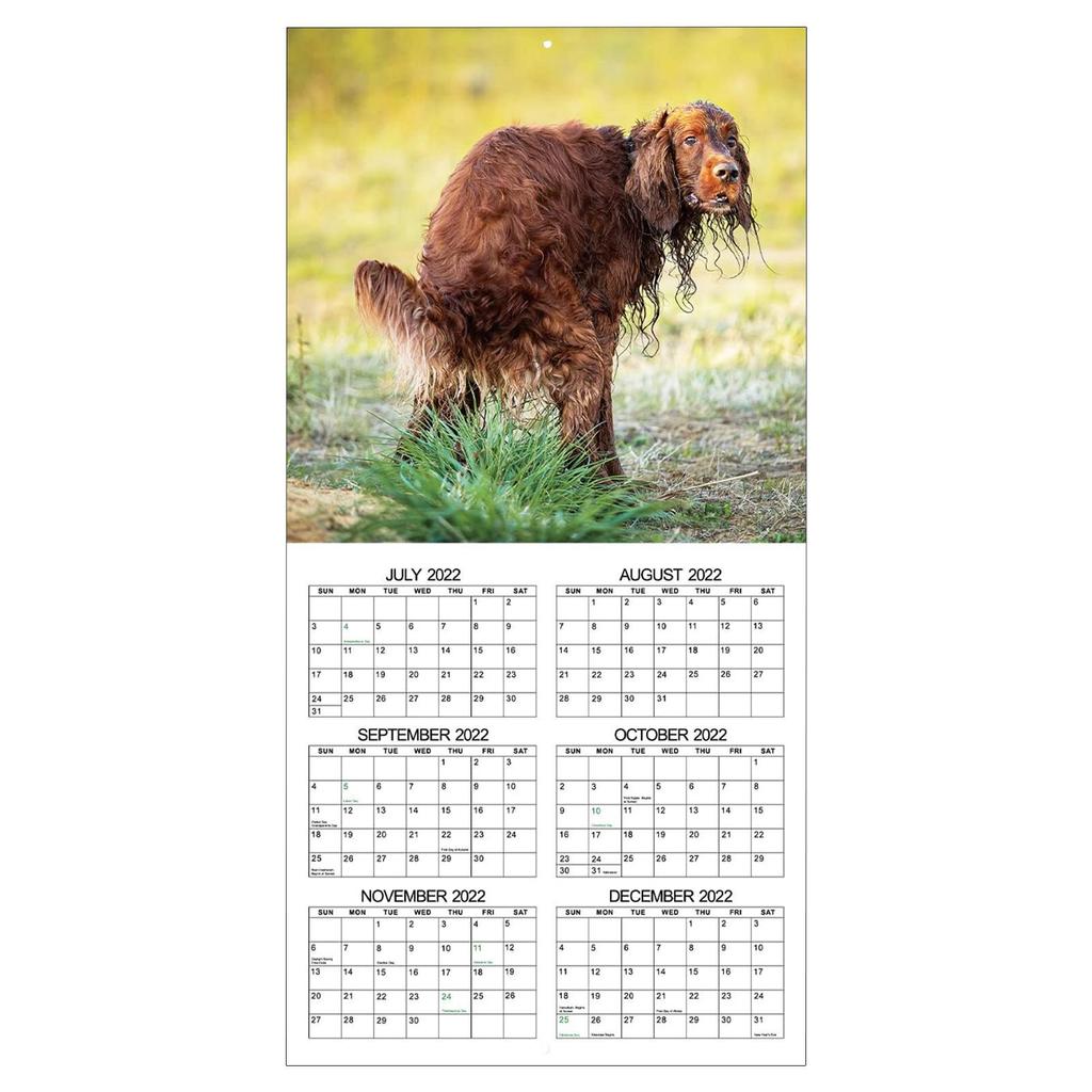 Dog Pooping Calendar 2023 Dog Pooping Calendar 2023