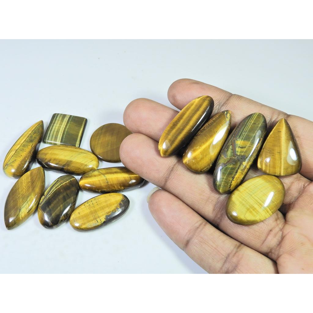 274Cts. Natural Tiger Eye Mix Cabochon Loose Gemstone 13Pcs Lot 26-37 MM C-737